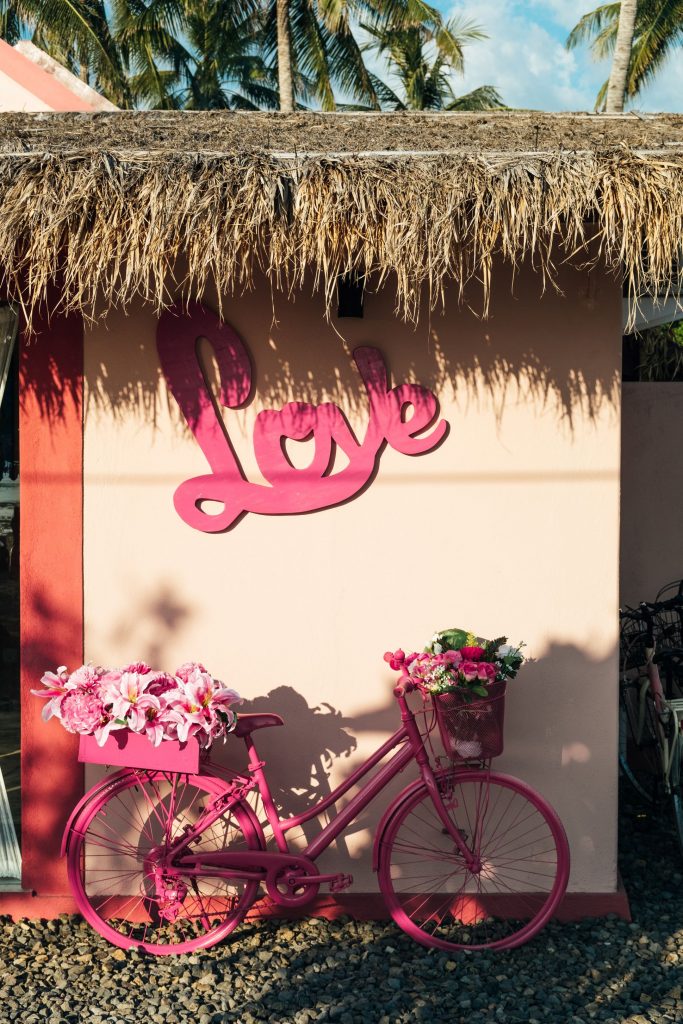 Pink bicycle. What would advice would you give yourself when you started your business