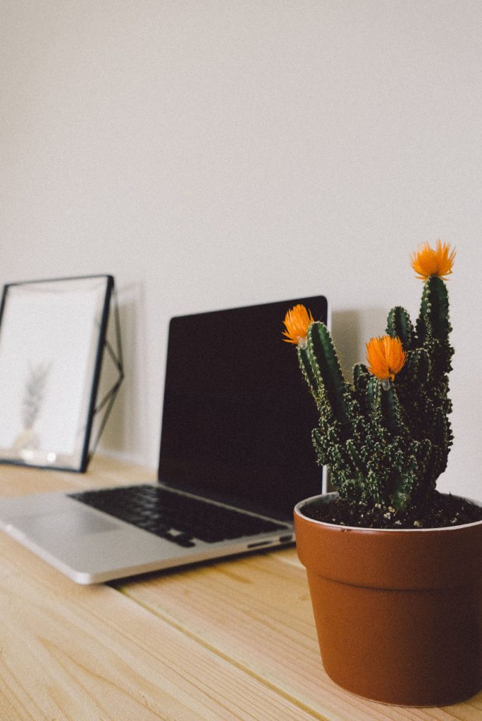 Where to find the right keywords. Laptop beside a picture and a cactus plant.