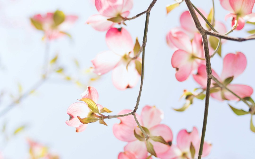 Five ways to spring clean your website content