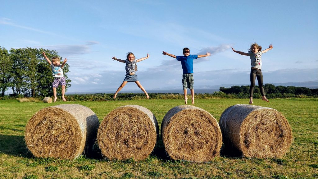 Case study of Solidarity Farm farm's Content and SEO Power hour with children jumping on bails of hay